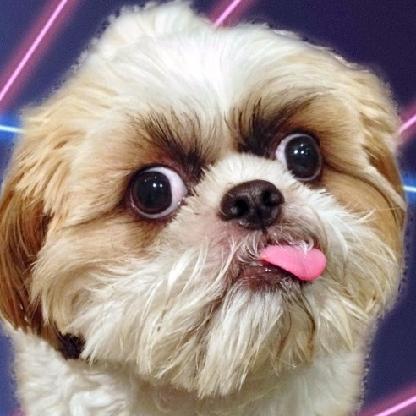 DaumianekPL's avatar