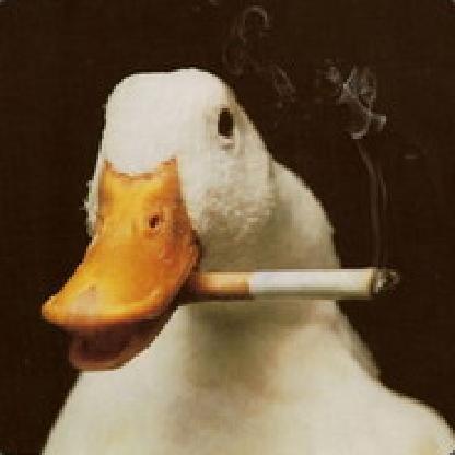 OleLukMund's avatar