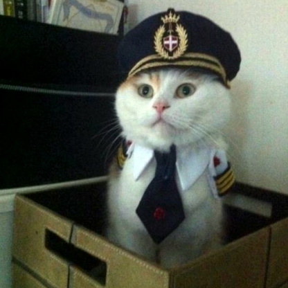 spreadthehate's avatar