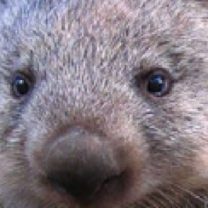 konoisaunit's avatar