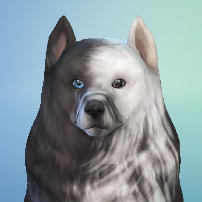 KiraSimming's avatar