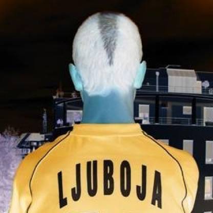 LjubojaNL's avatar