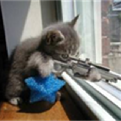 SniperKittenOW's avatar