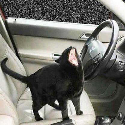 ayaywewuzkangz's avatar