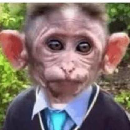 racbulldog5's avatar