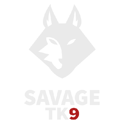 SavageTk9's avatar