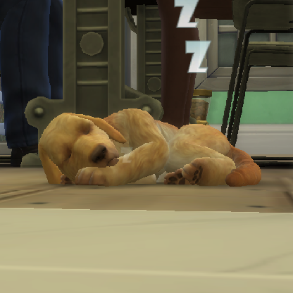 simsgirl2019's avatar