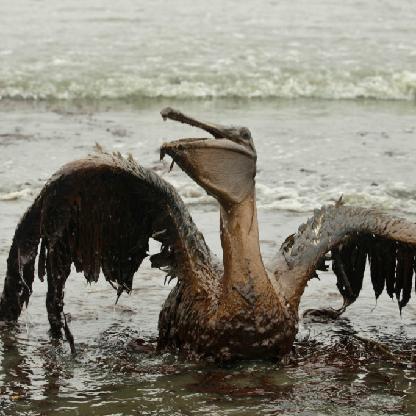 MrHydroCarbon's avatar