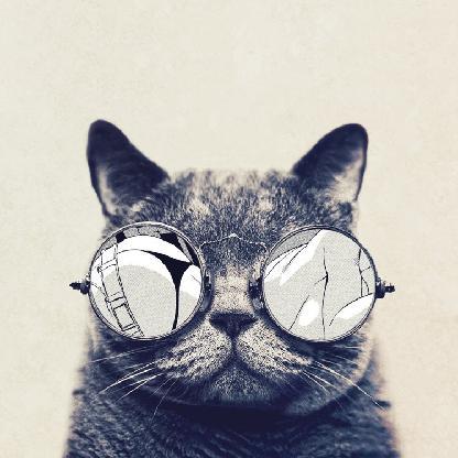 xllStArLoRdllx's avatar