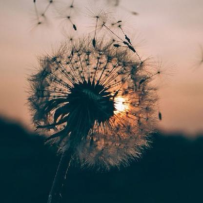 MaiTaniyama1326's avatar