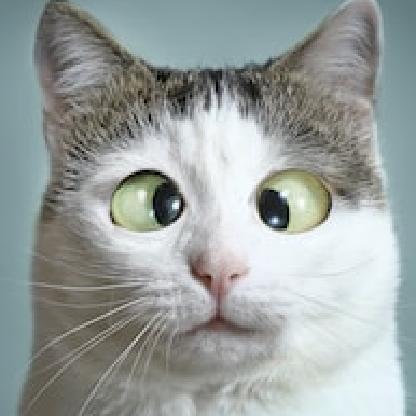 Chrome_Tainted's avatar