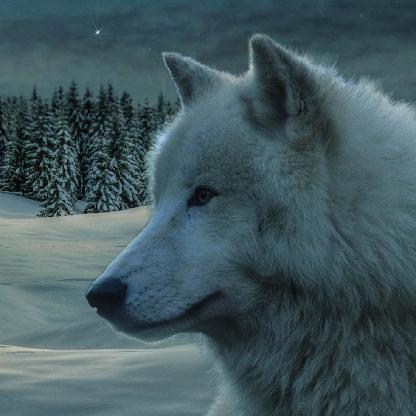 WitcherWolf15's avatar