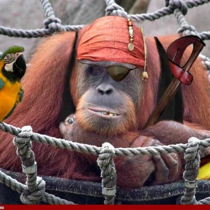 ddmonkey's avatar