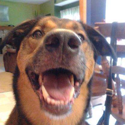 3cf5d2a21f444485's avatar