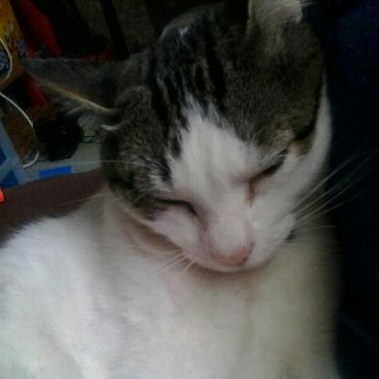 FARMAVILLERO's avatar