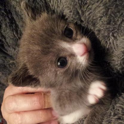 meganbarto845's avatar