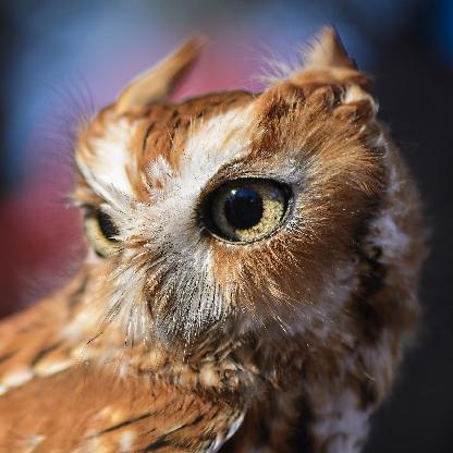 Valmark007v's avatar