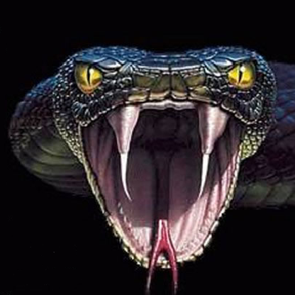 AnacondaTML's avatar