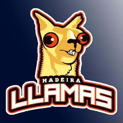 LeugimMaZterPT's avatar