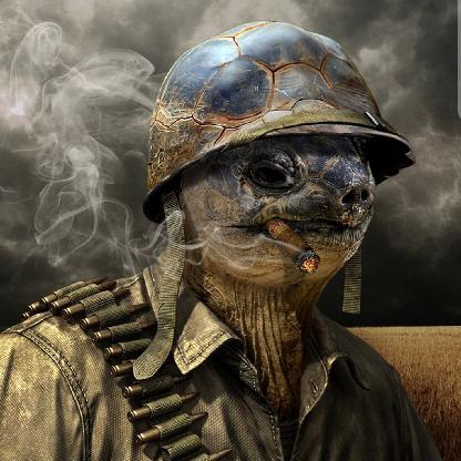 ShiftyShellback's avatar