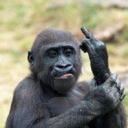 CreakinNinja's avatar