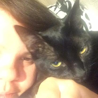 Dementedkitten88's avatar