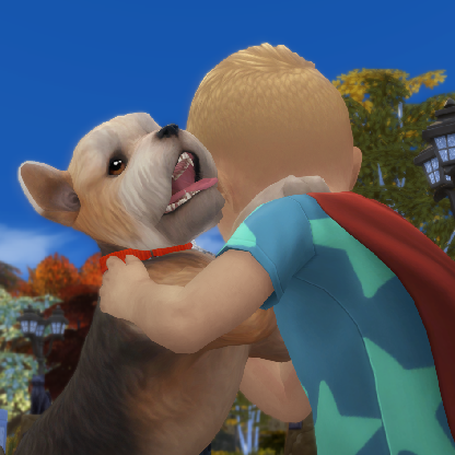 ccvalentino's avatar