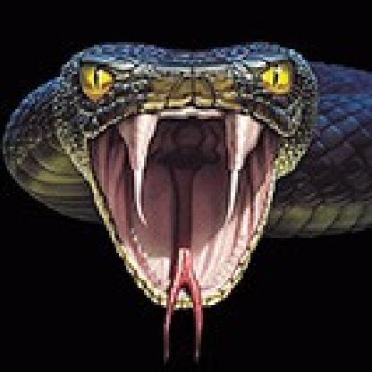 vipers_shot's avatar
