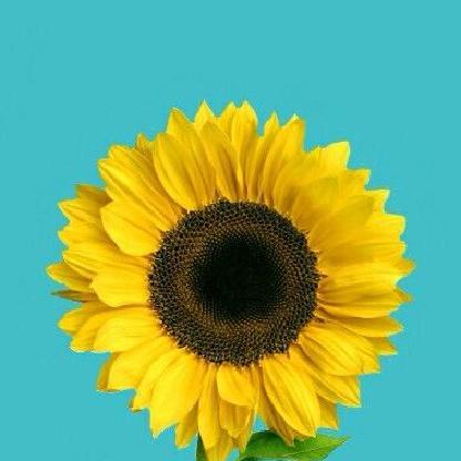 LessAmazingGrace's avatar