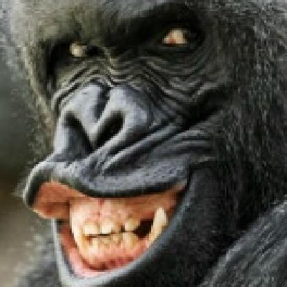 PARNY_KOKER's avatar