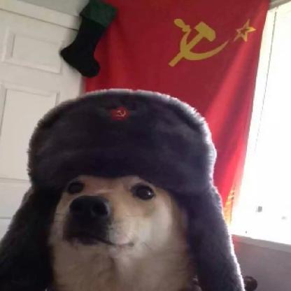 YugoSlavBoY's avatar