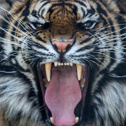 CityHunterino's avatar