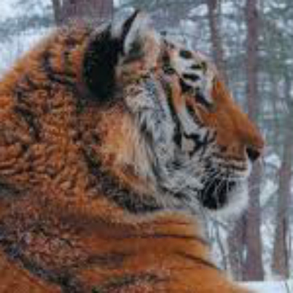 PrometheusSvK's avatar