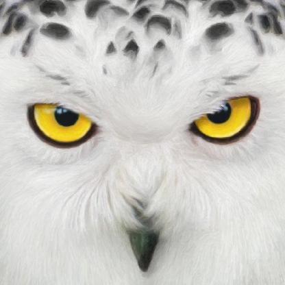 CL4RI55AvBento's avatar