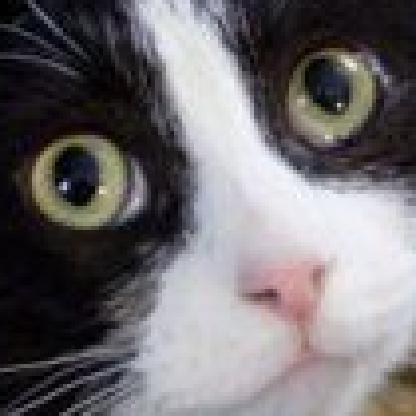 SoflamFromBelow's avatar