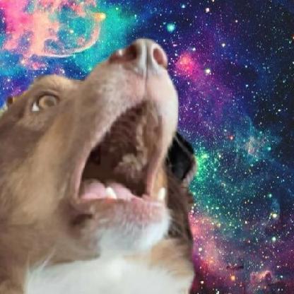 SlashedRapier's avatar