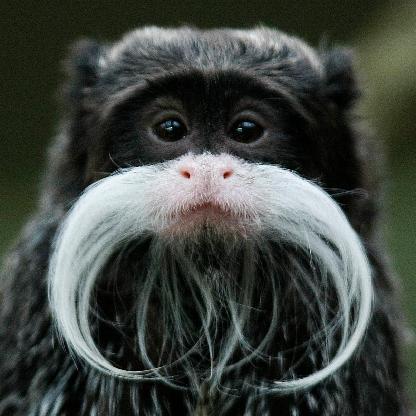 Th3HappyBoi's avatar