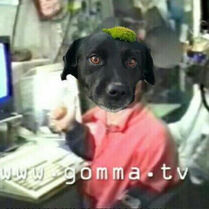 Paolowsky's avatar