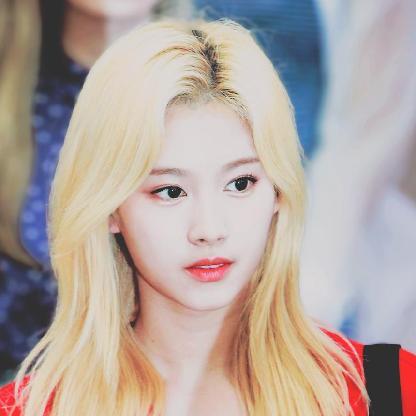 NoSanaNoLife555's avatar