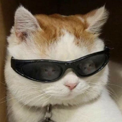 ZeroKD69's avatar