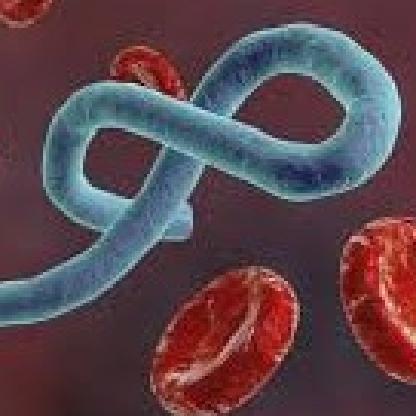 KiLLtheCRaZE's avatar