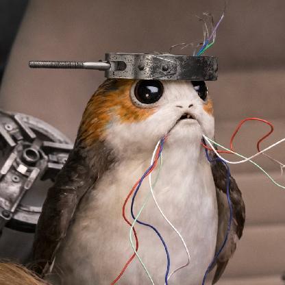 MissPorg's avatar