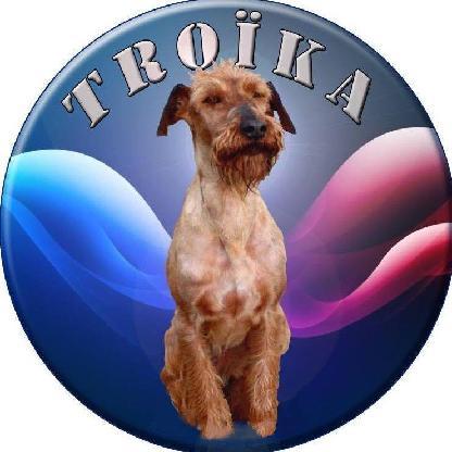stormwin12's avatar