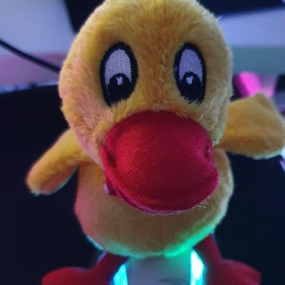 SchnatterNinchen's avatar