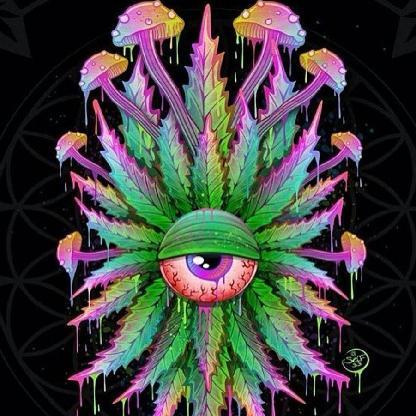 nastehn8te's avatar