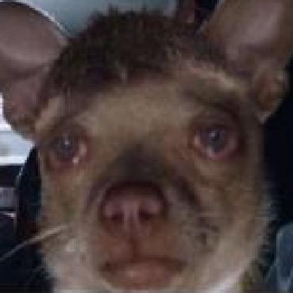 bryceoncrackXD's avatar