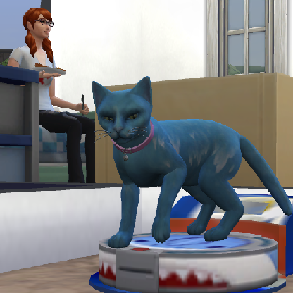 shannonr340's avatar