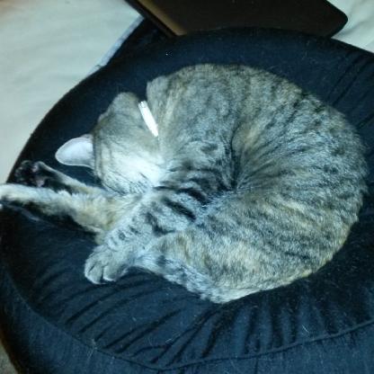 IKnowNaught's avatar