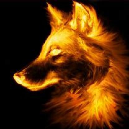 knologe_dog's avatar