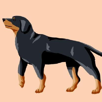 DankDachshund's avatar